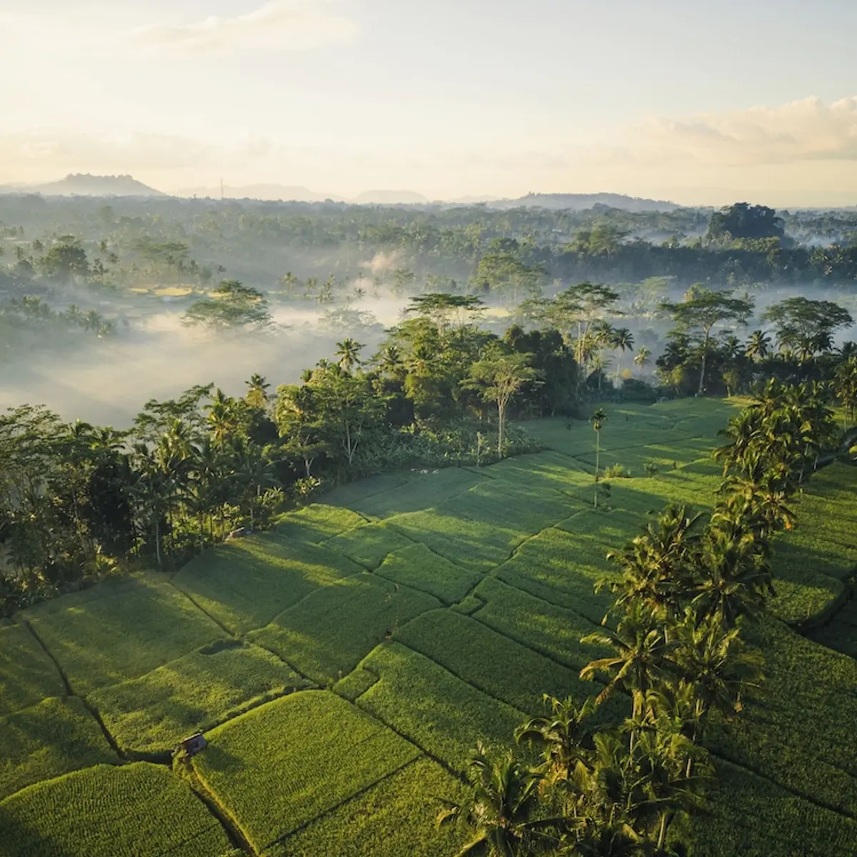 Ubud Mas Glamping Luxury Tent, Mas, Indonesia 1