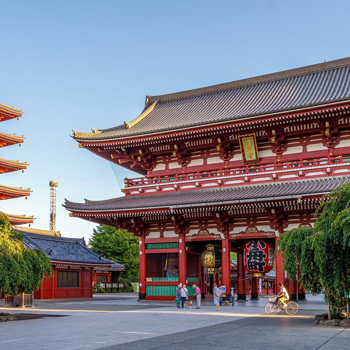 Limited Time Offer: Deluxe 7-Day Japan Highlights 2026 with Tokyo, Kyoto & Osaka (No Solo Traveller Surcharge) by  8