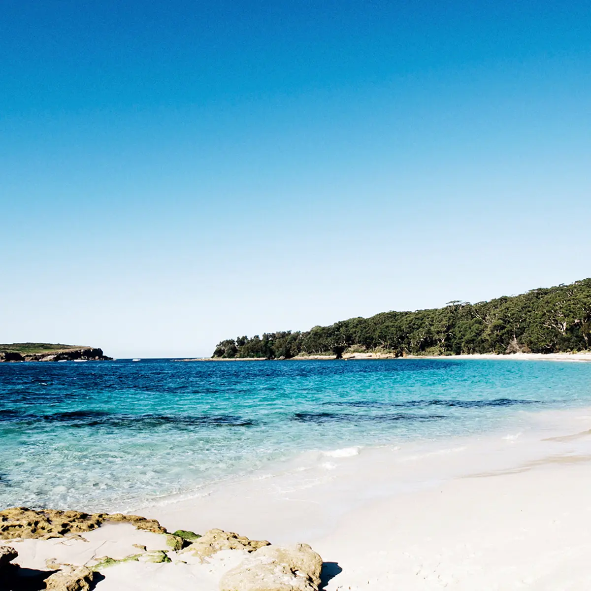 Paperbark Camp, Woollamia, New South Wales 7