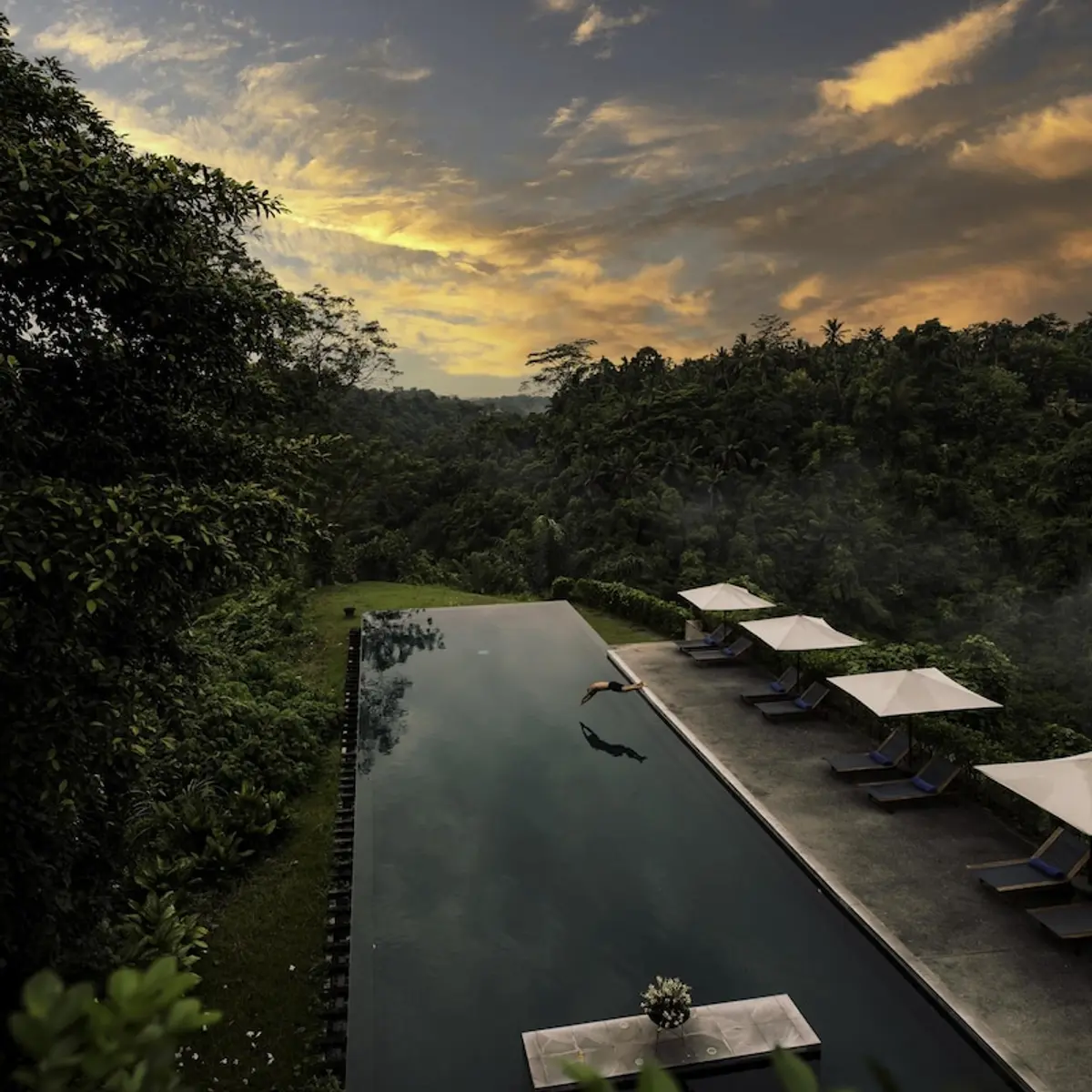 Alila Ubud. Bali, Ubud, Indonesia 8