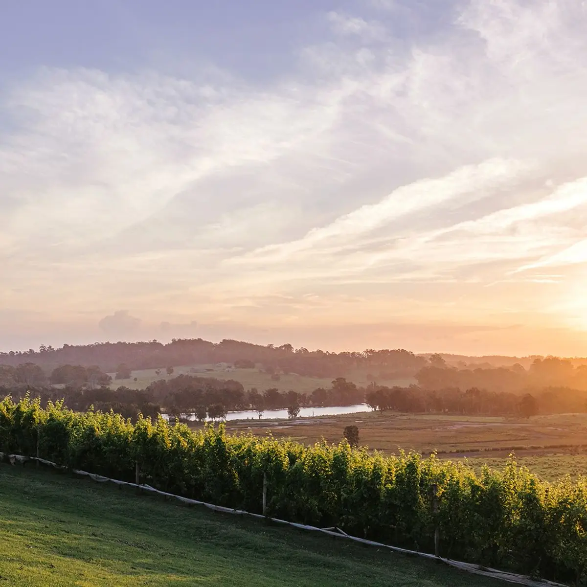 Cupitt's Estate, Ulladulla, New South Wales 7