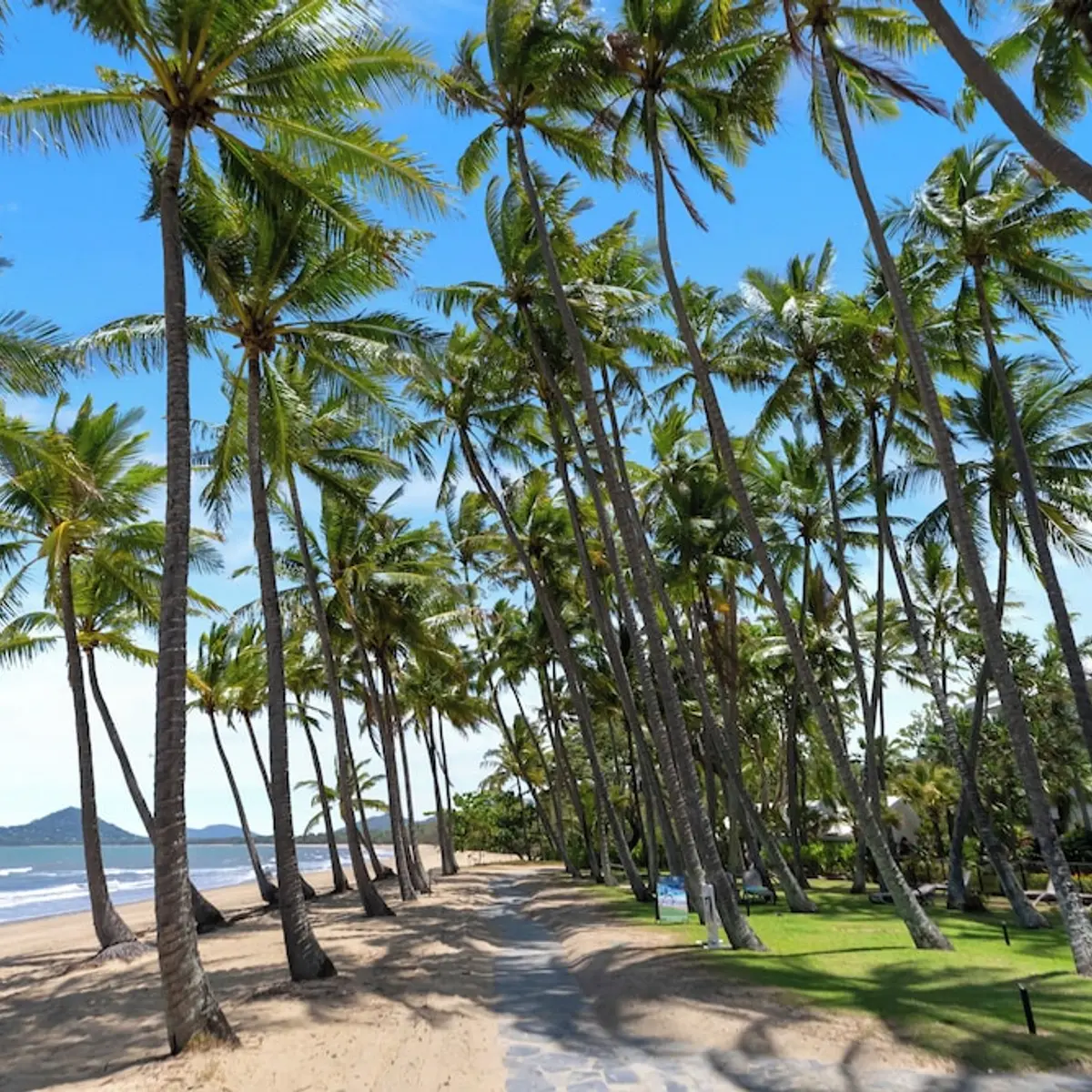 Alamanda Palm Cove by Lancemore, Palm Cove, Australia 1