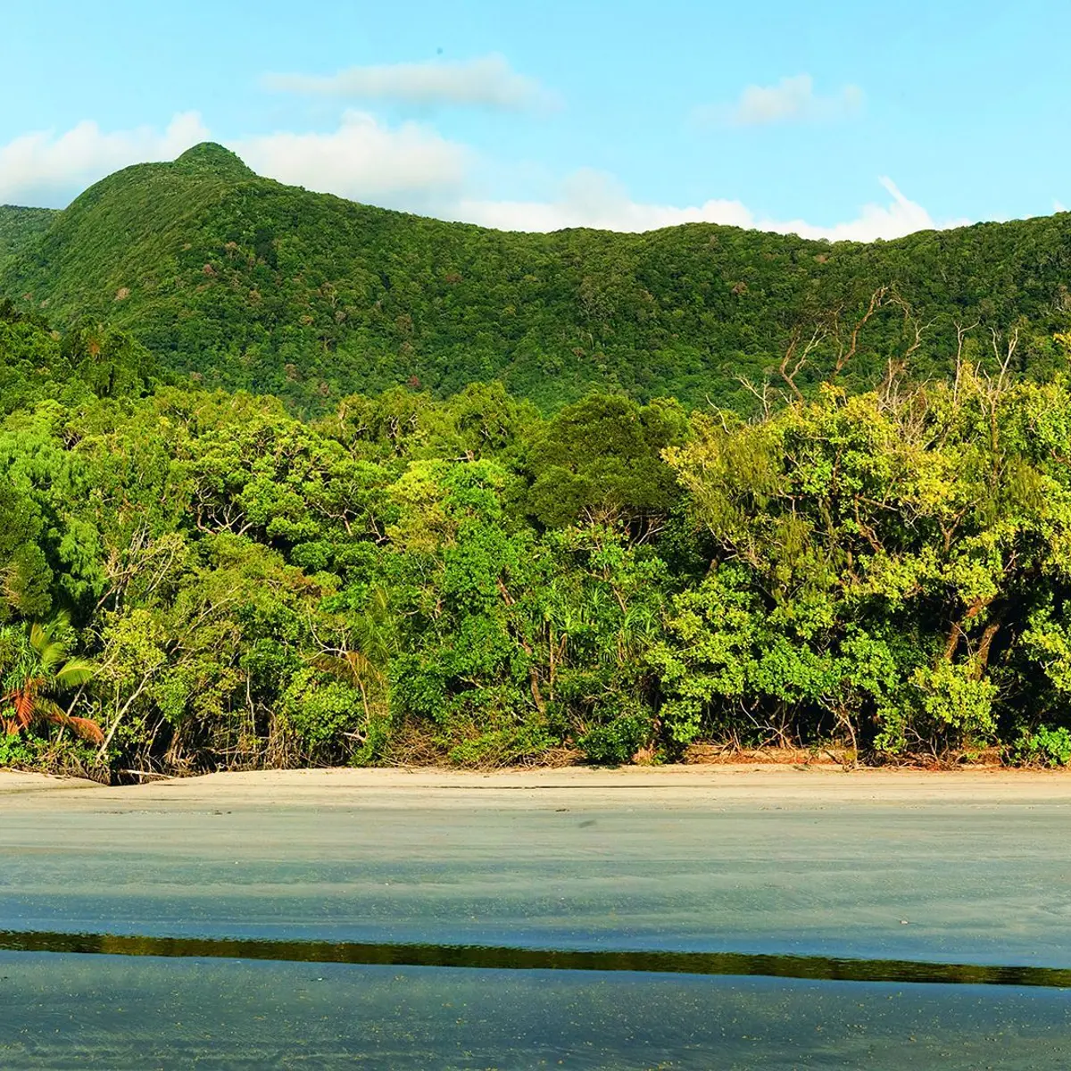 Mist at Cape Tribulation, Daintree Rainforest, Queensland 6