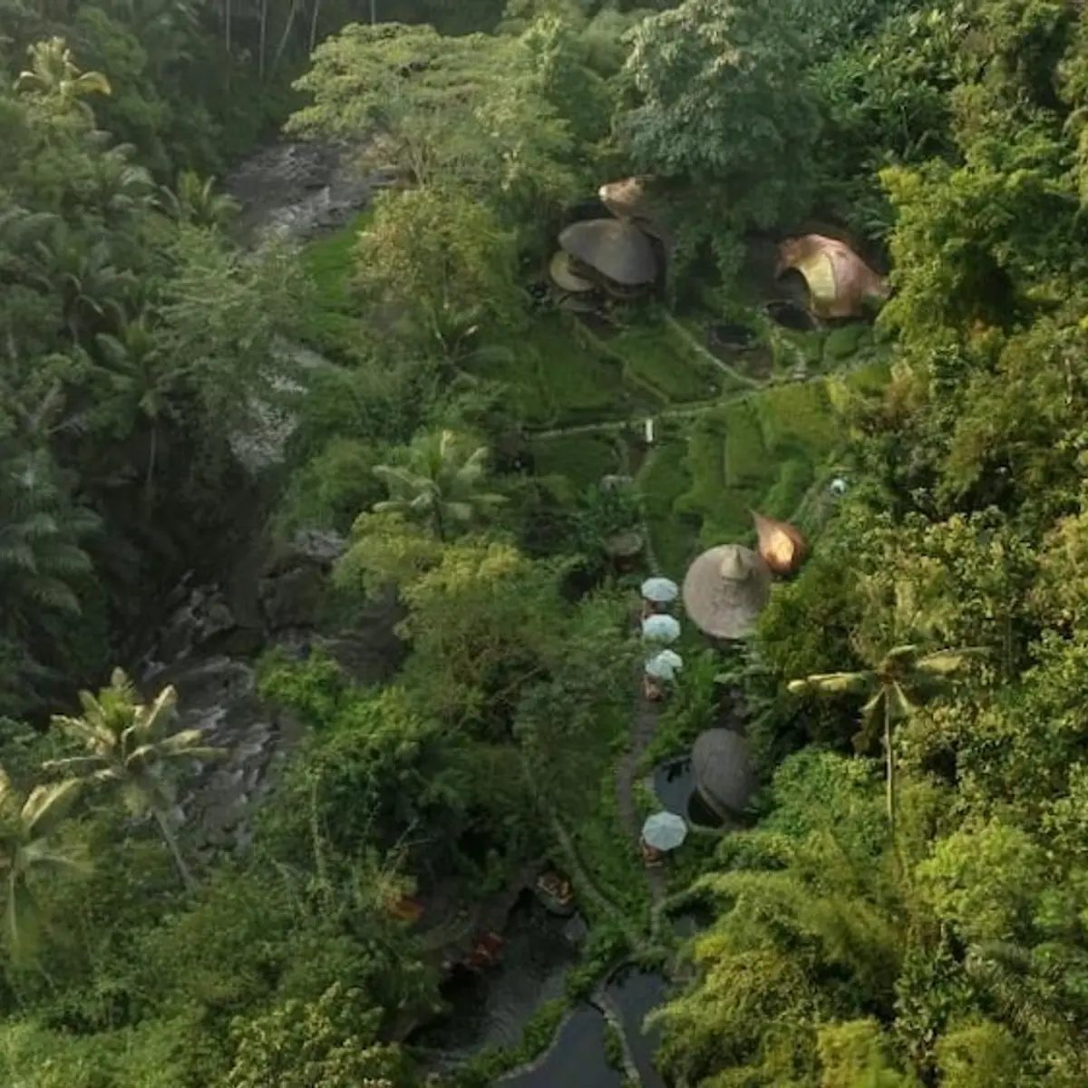 Bambu Indah Resort, Ubud, Indonesia 6