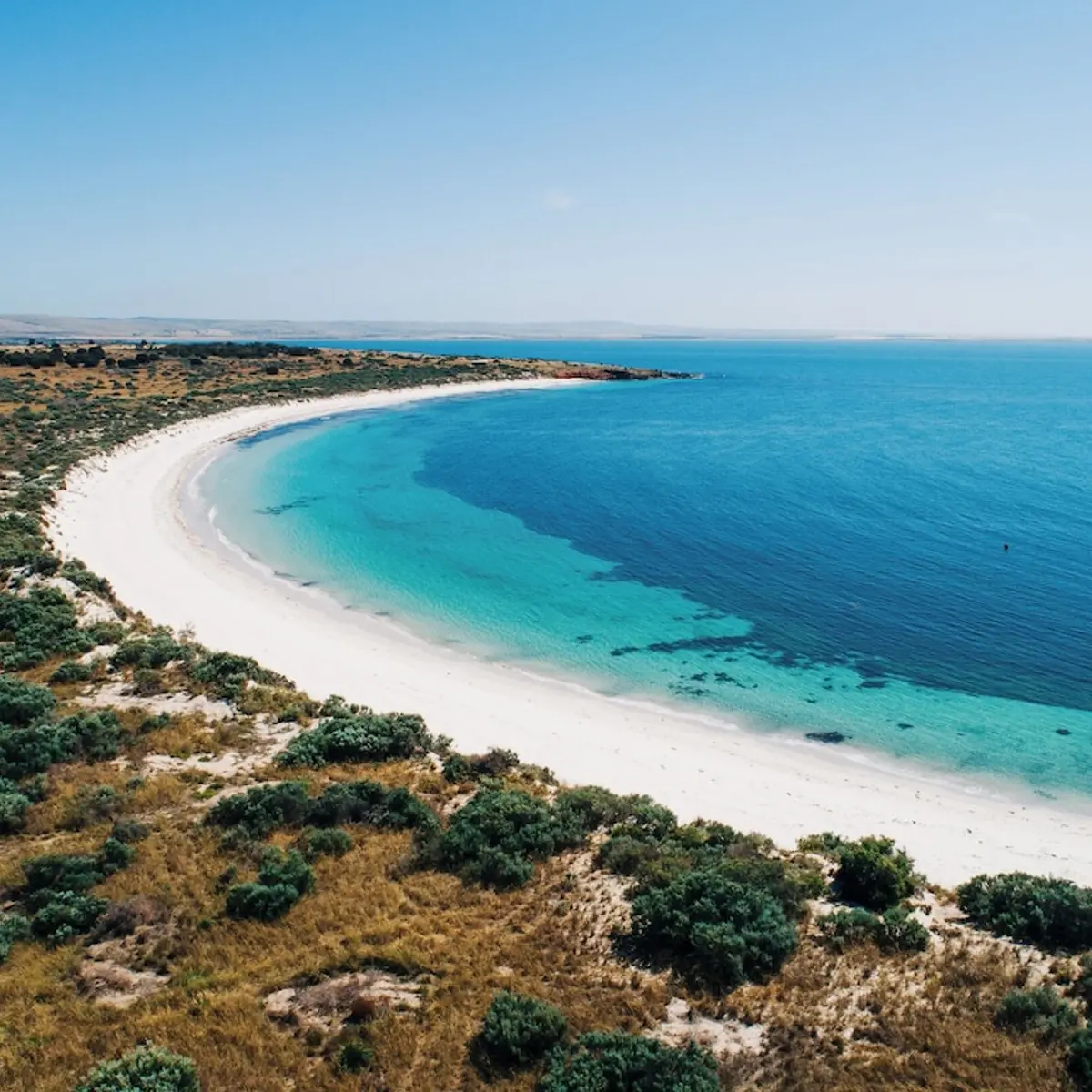 Rumi On Louth, Louth Island, Australia 2