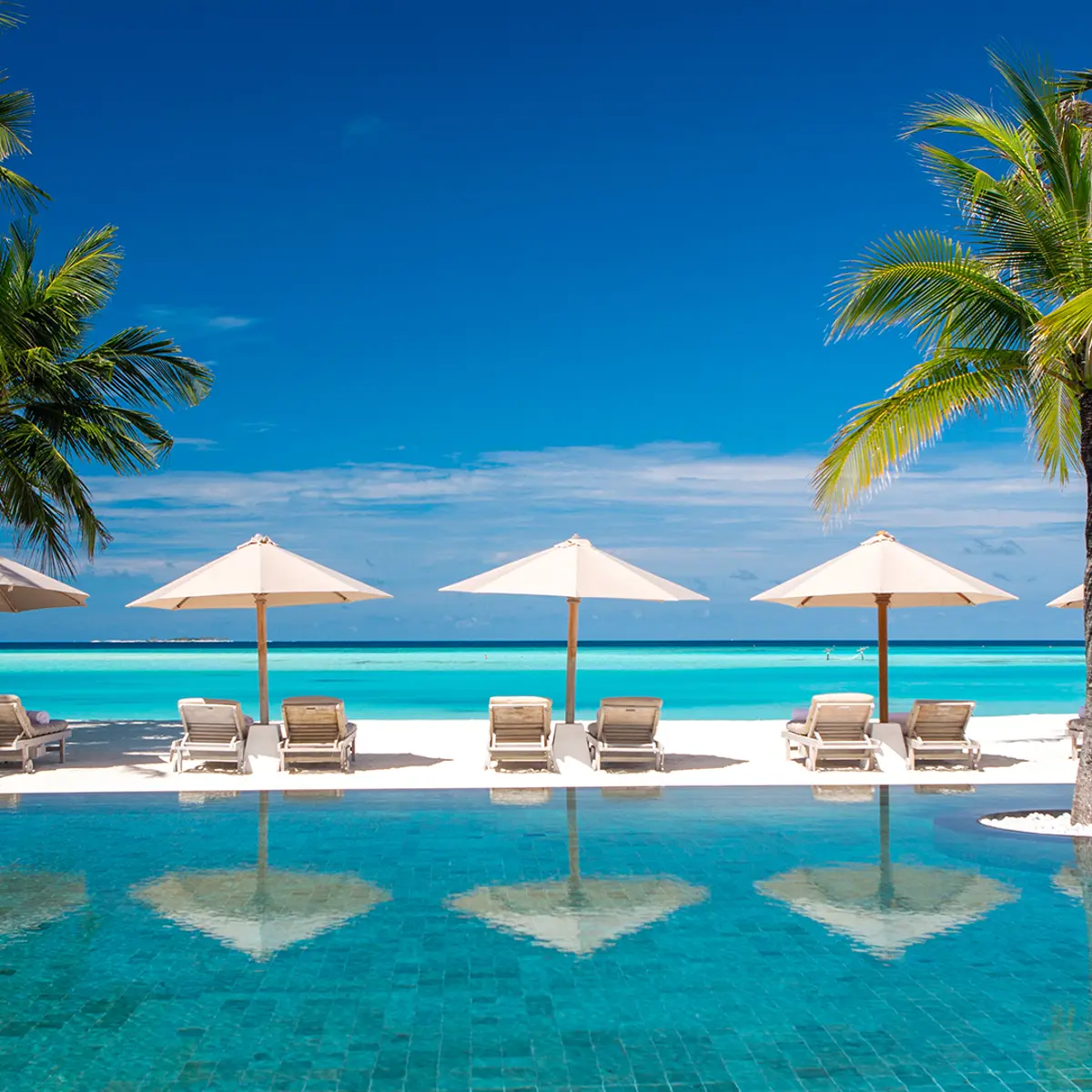Gili Lankanfushi , North Malé Atoll, Maldives 1