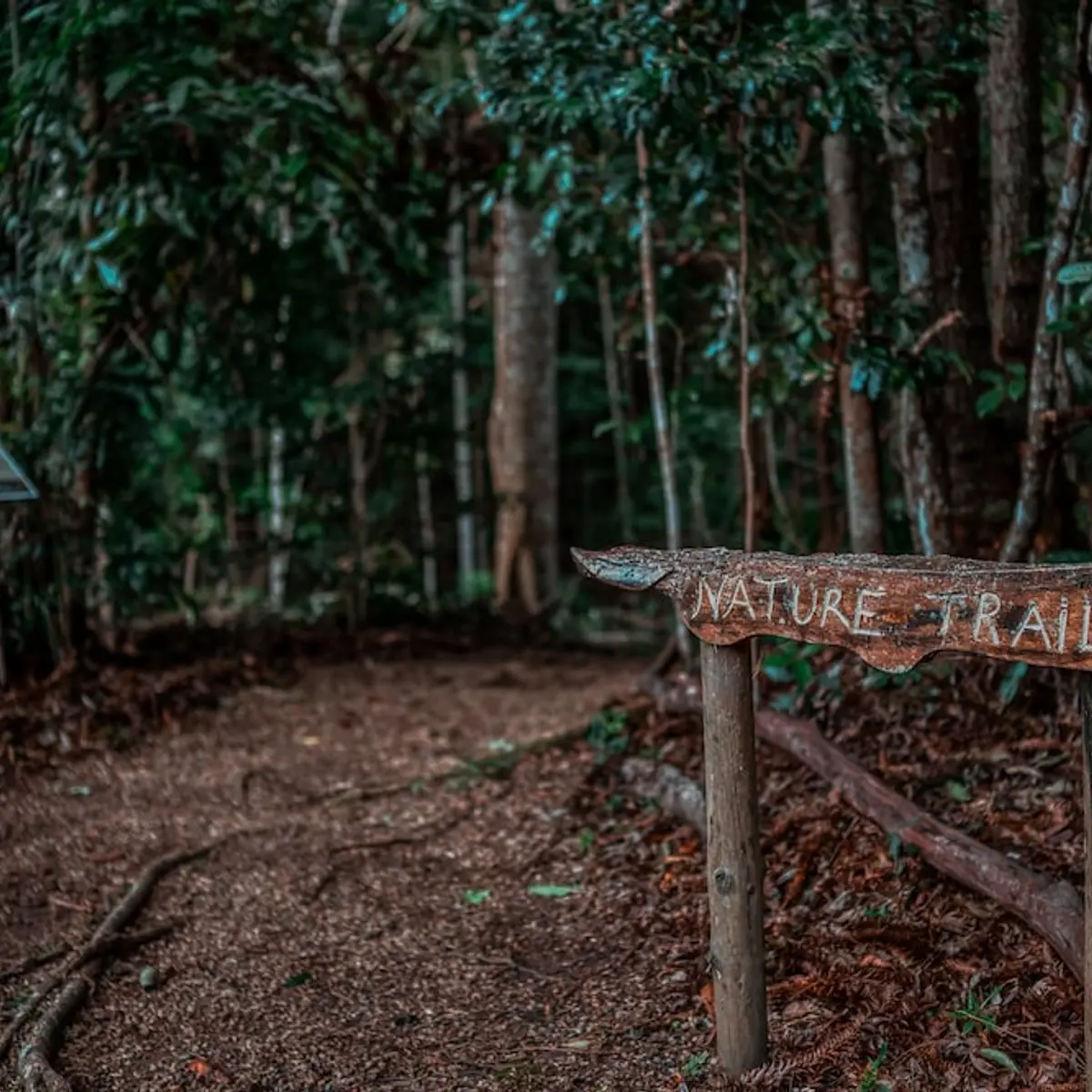 Narrows Escape Rainforest Retreat, North Maleny, Australia 5
