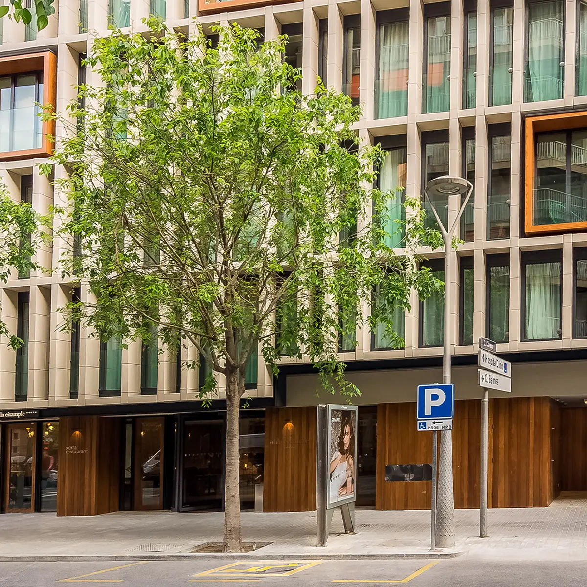 Ohla Eixample, Barcelona, Spain 4