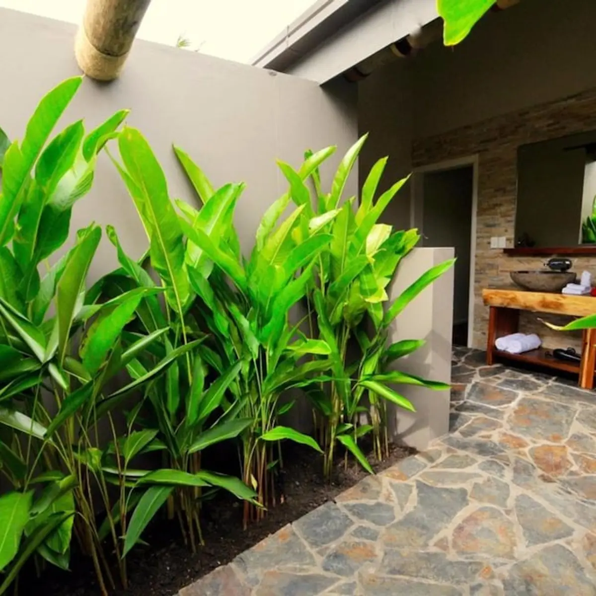 Paradise Cove Resort, Naukacuvu Island, Fiji 3