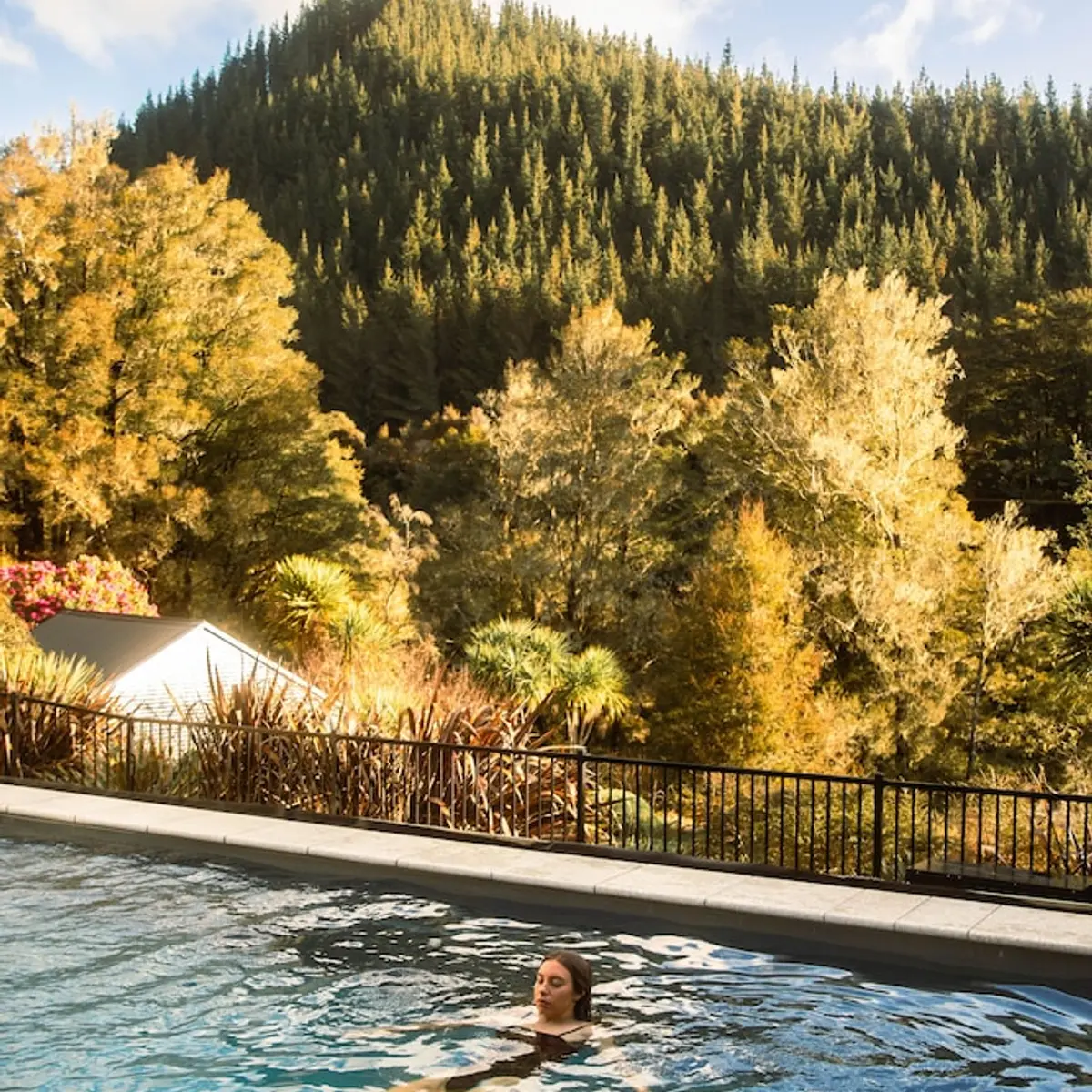 Maruia River Retreat, Shenandoah, New Zealand 8