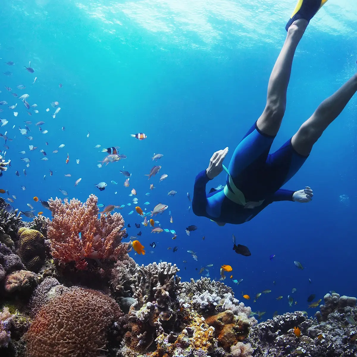 Silavadee Pool Spa Resort, Koh Samui, Thailand 6