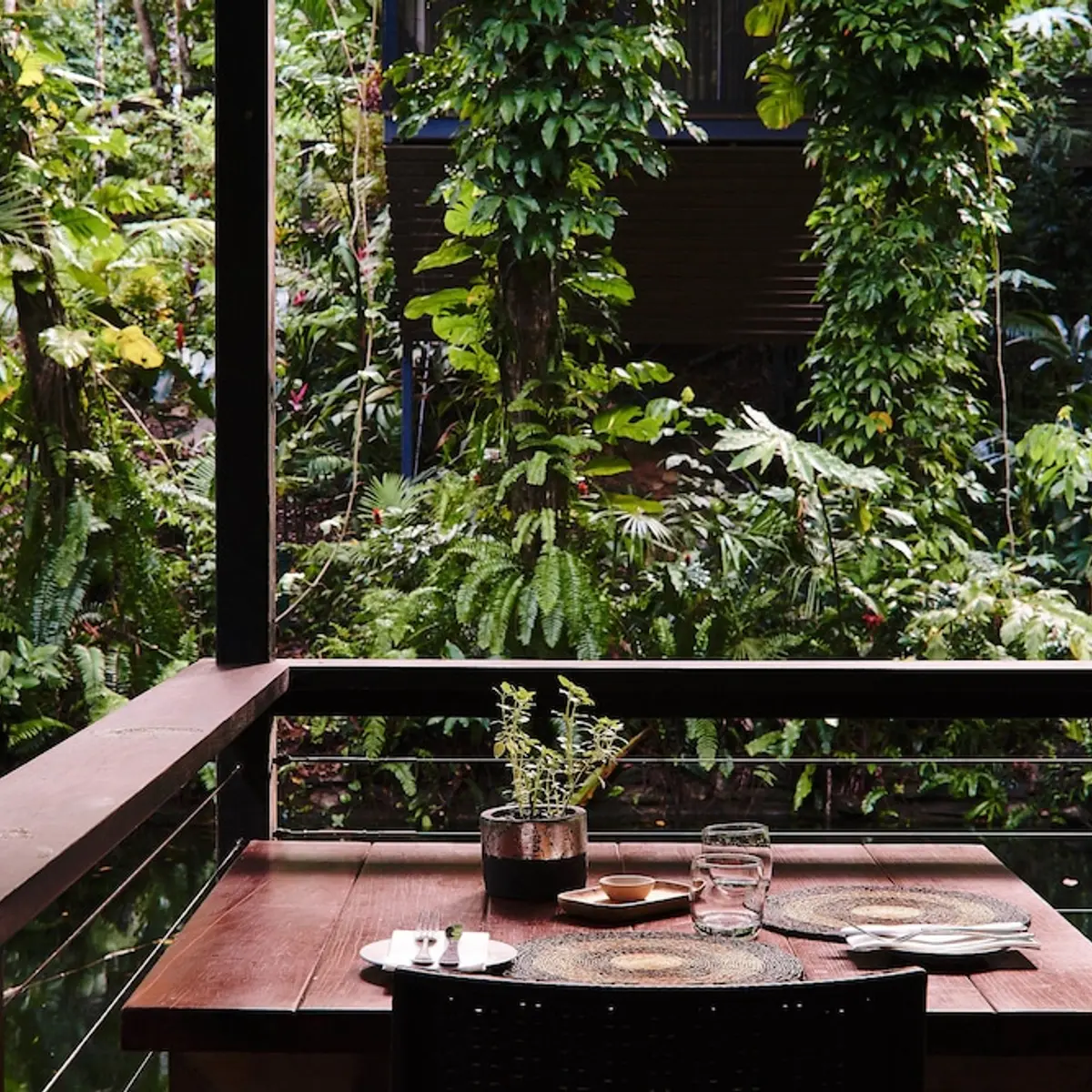 Daintree Ecolodge, Lower Daintree, Australia 4