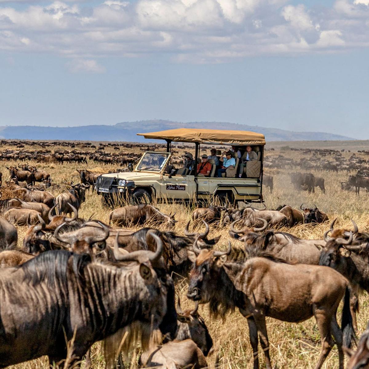 Deluxe 13-Day Kenya & Tanzania Great Migration Safari 2027 with Maasai Mara & Serengeti National Parks  by  4