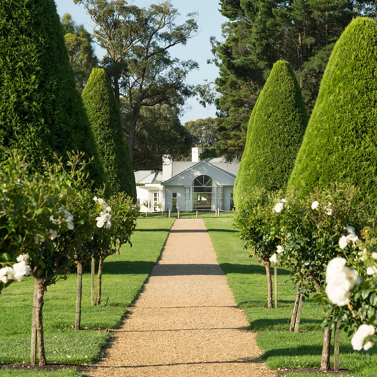 Lancemore Lindenderry Red Hill, Mornington Peninsula, Victoria 1