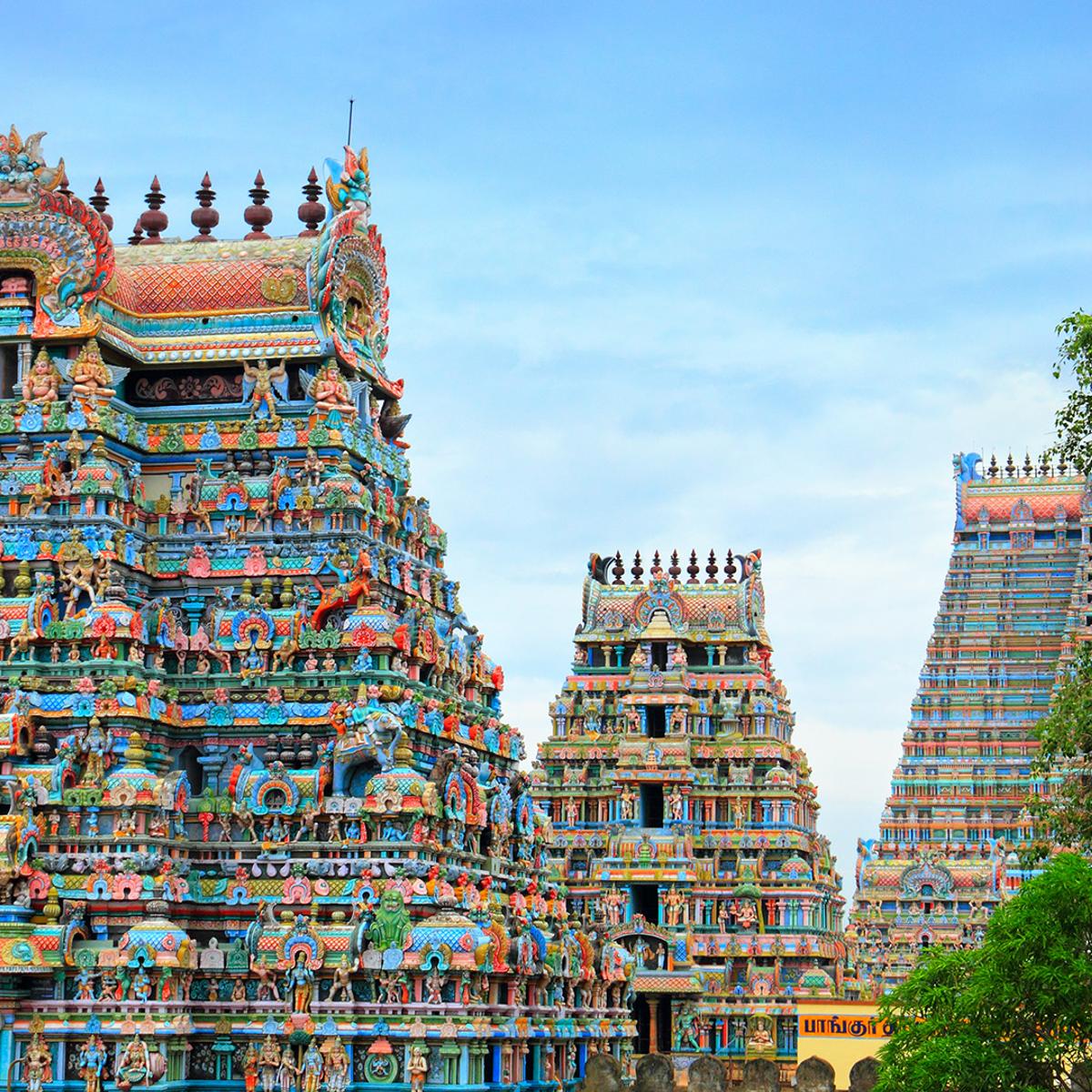 Série Insider : circuit premium de 15 jours à la découverte des incontournables du sud de l’Inde 2027 avec expériences gastronomiques co-conçues par Matt Preston par  4