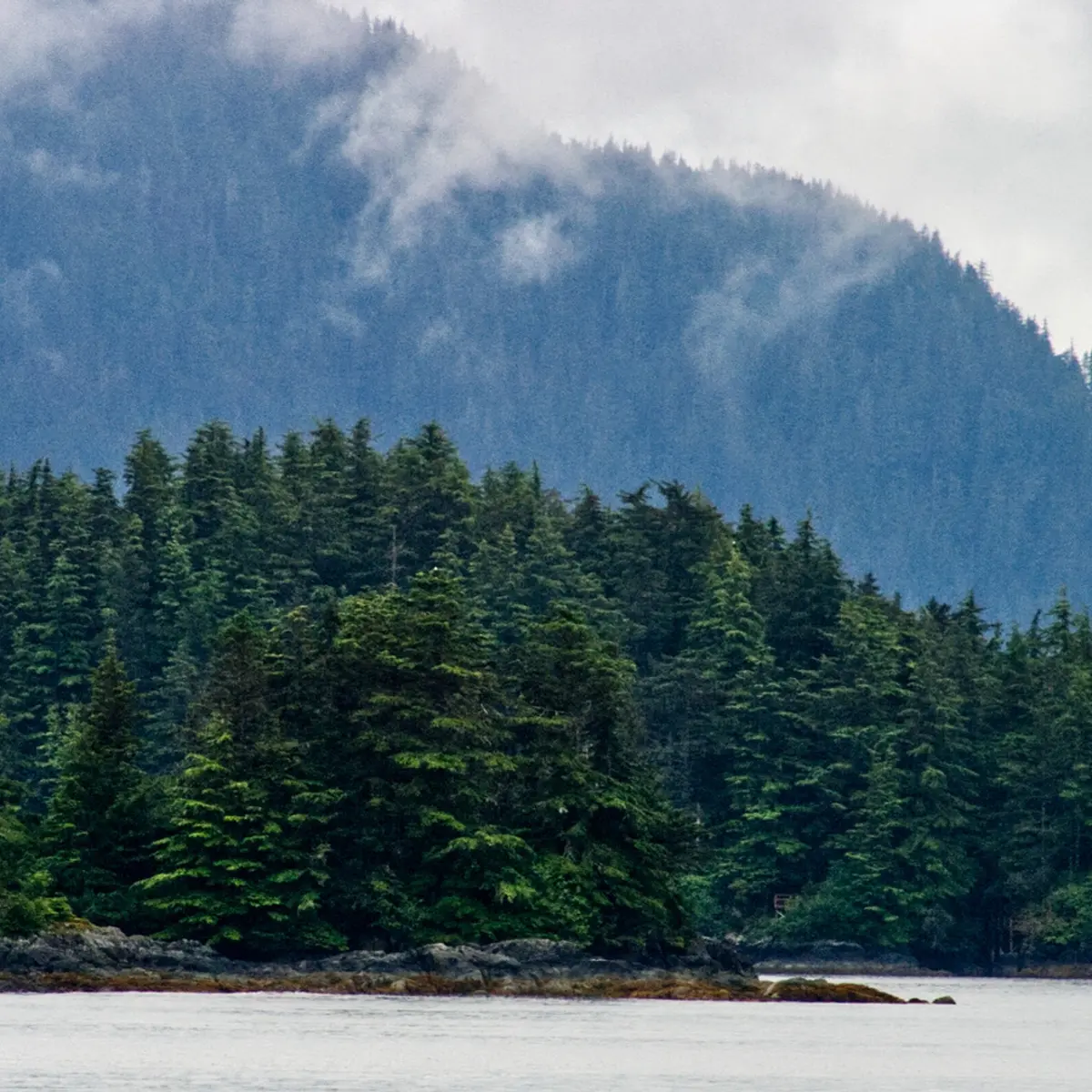 USA & Canada, Trusted Partner Cruises – USA & Canada, 7