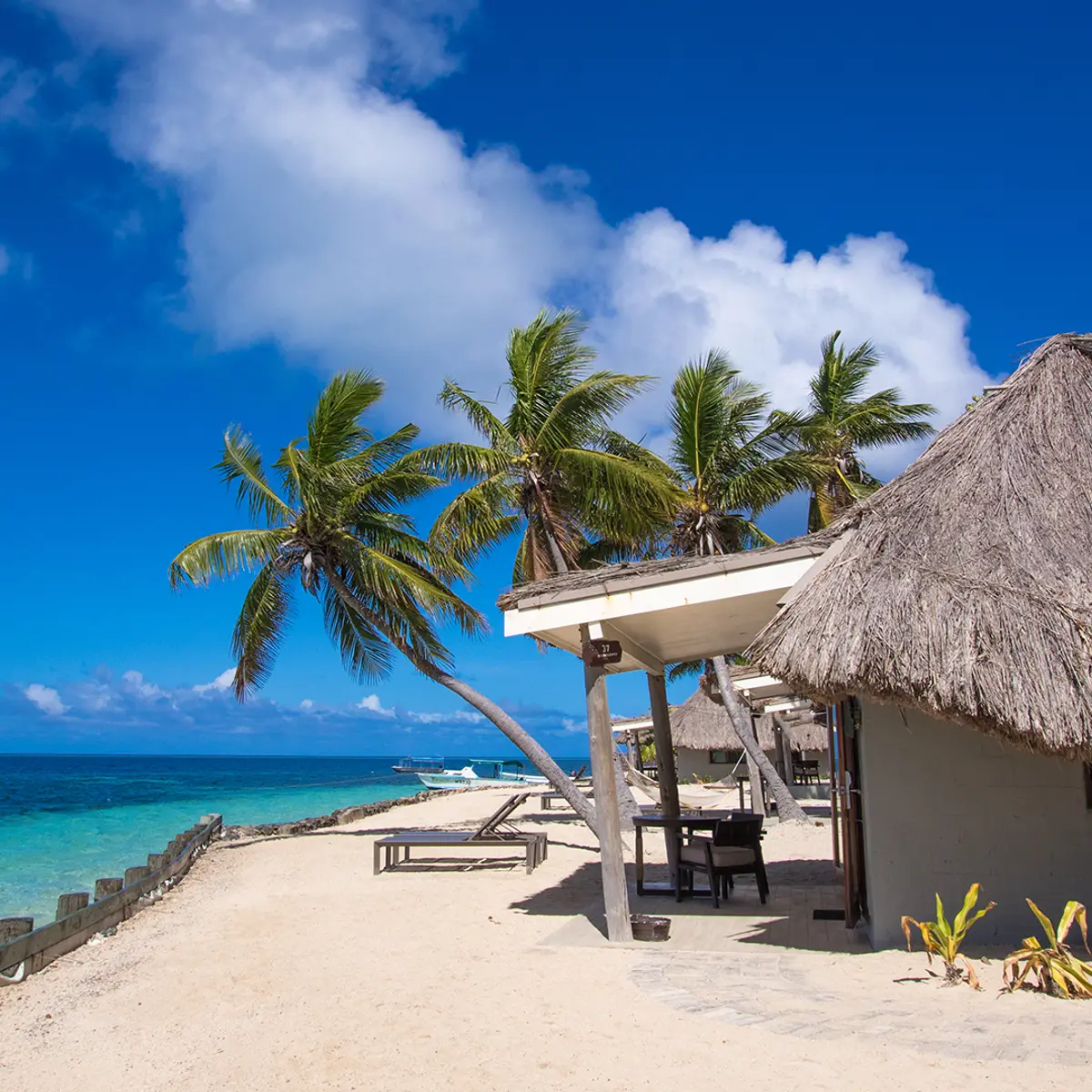Castaway Island, Castaway Island, Fiji 3