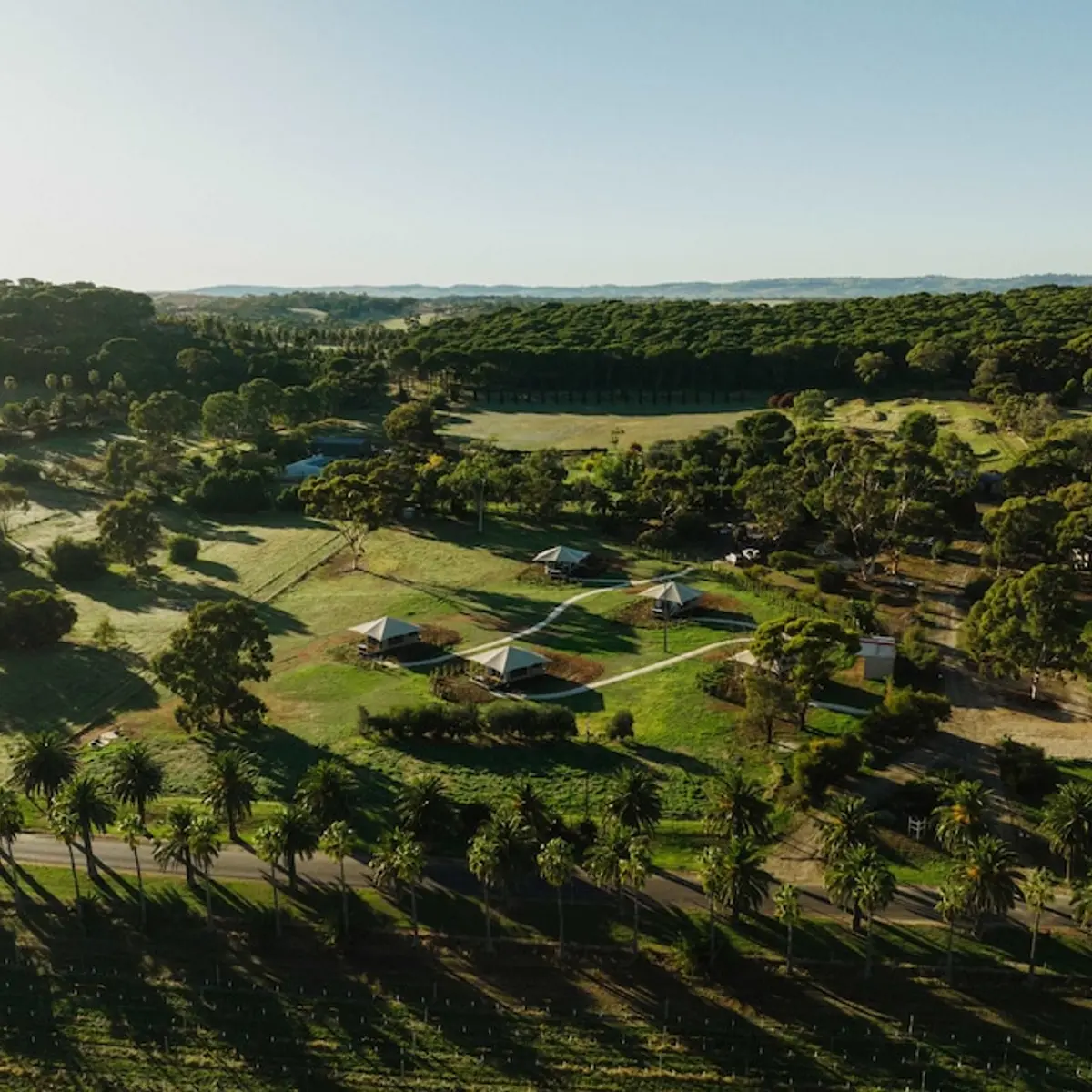 CABN X Seppeltsfield Barossa, Seppeltsfield, Australia 6