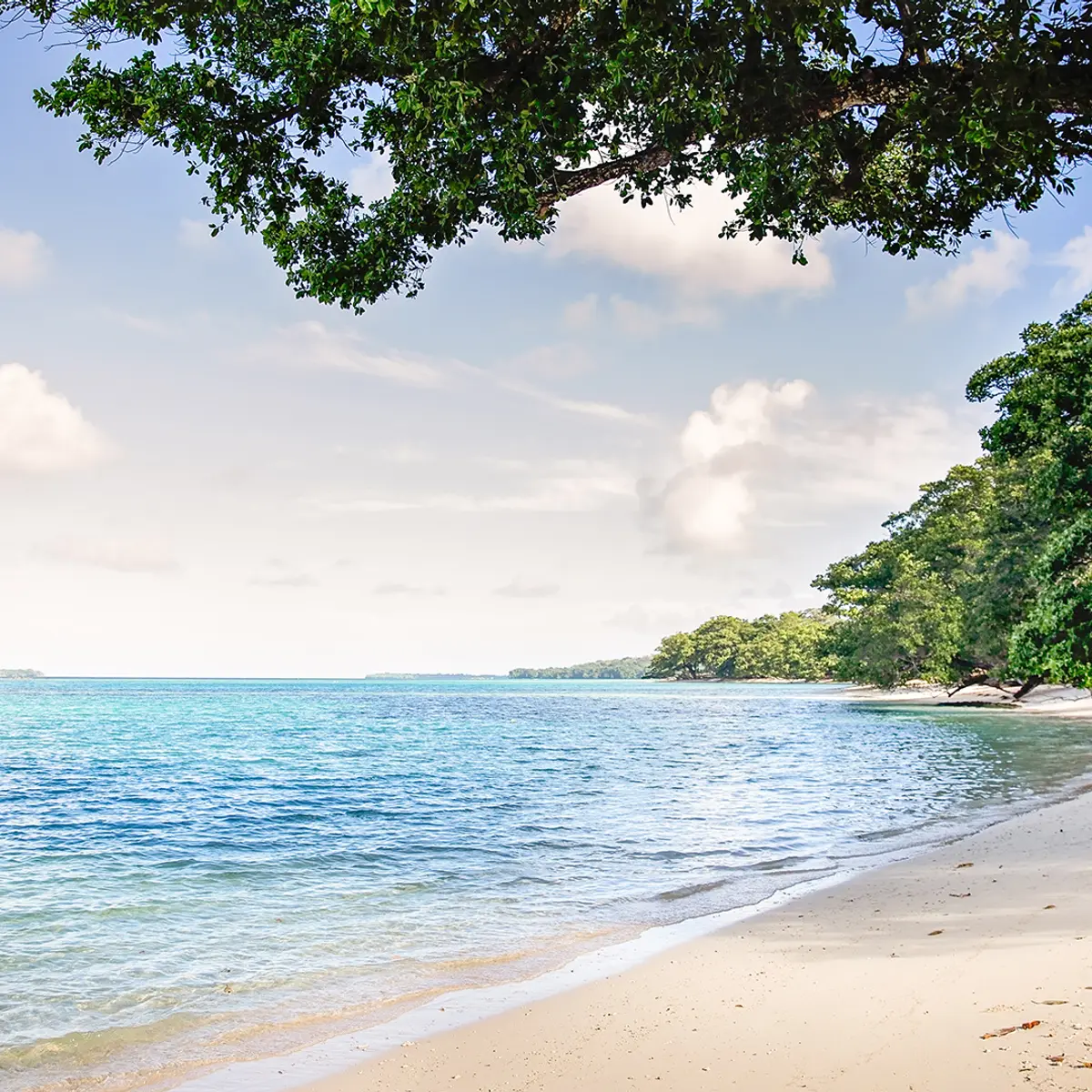 Barrier Beach Resort, Santo Espiritu, Vanuatu 7