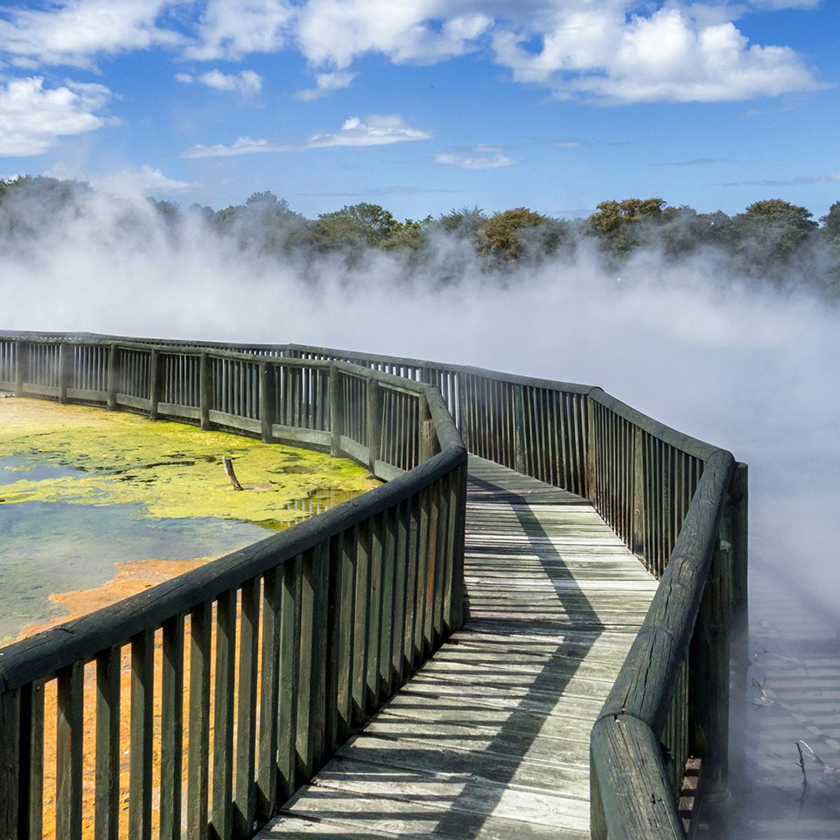 New Zealand 7-Day North Island Highlights with Waitomo Glowworm Caves & Hawke's Bay Wine Tasting by  6