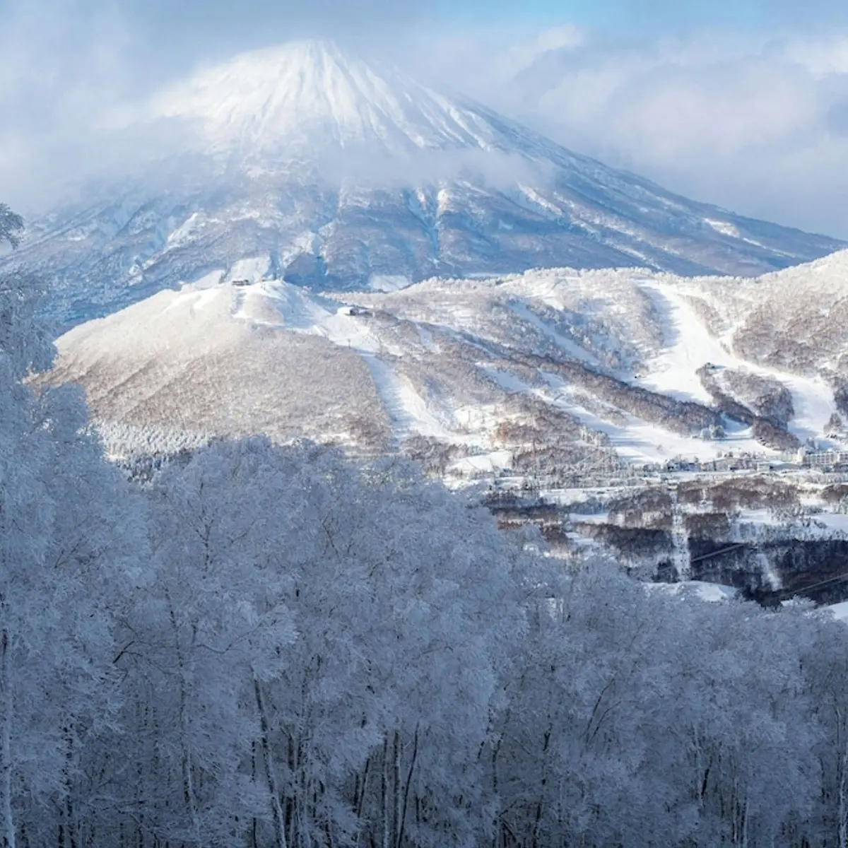 The Westin Rusutsu Resort, Rusutsu, Japan 1