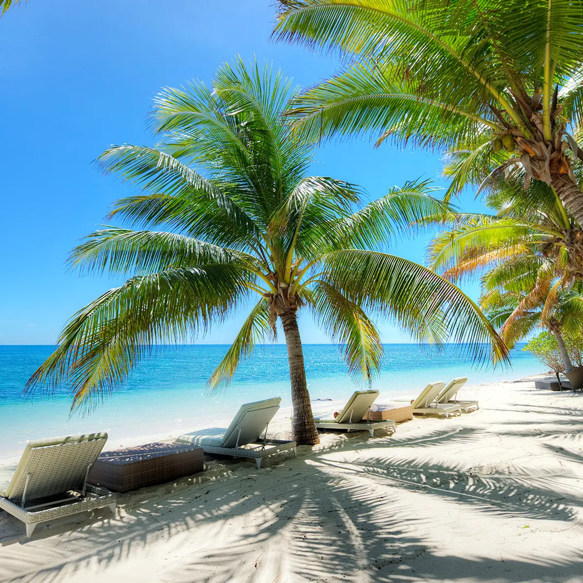 VOMO Island Fiji, Vomo Island, Fiji 8