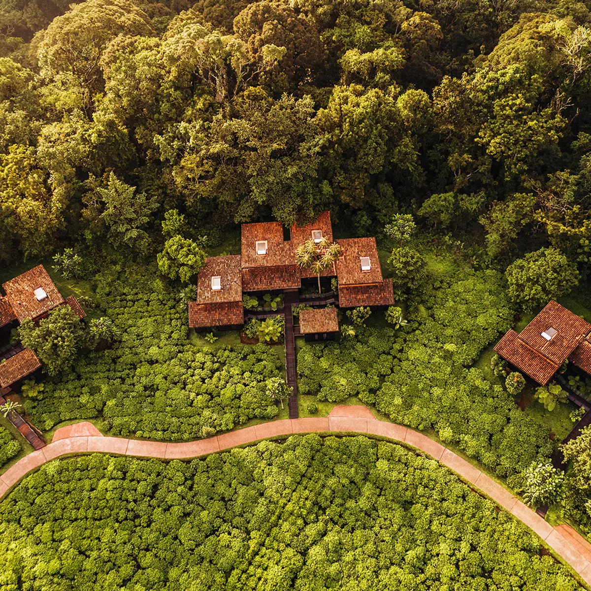 One&Only Nyungwe House, Nyamasheke, Rwanda 5