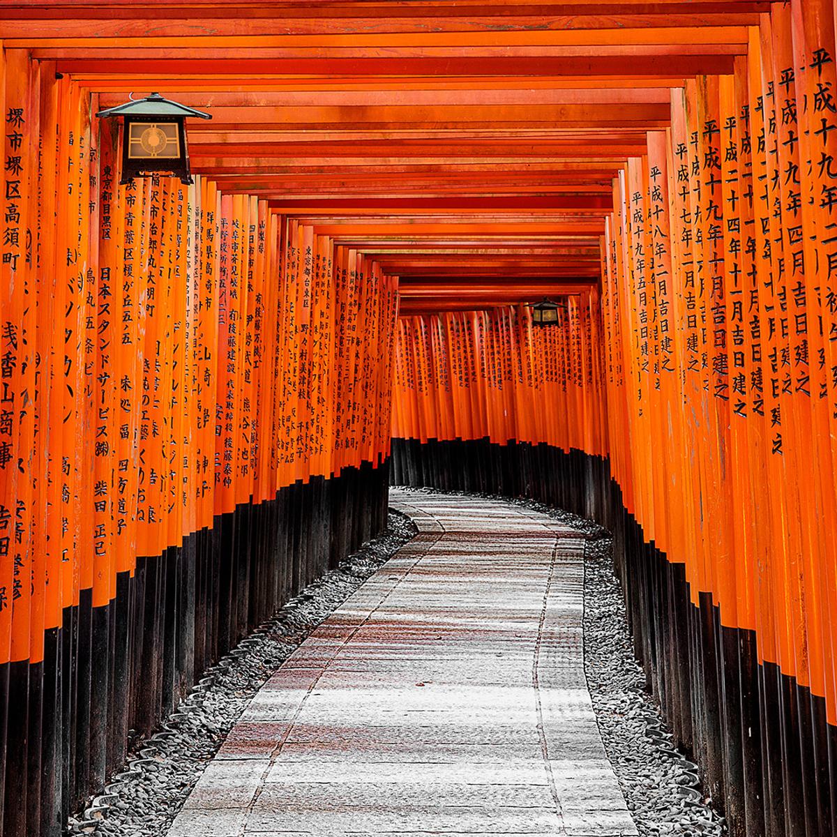 Signature Series: 7-Day Japan Exclusive Tour through Tokyo, Kyoto & Osaka with Khanh Ong by  6