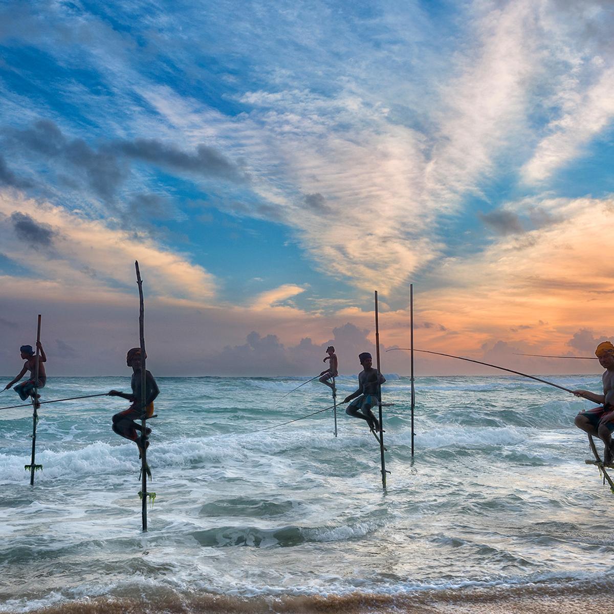 Insider Series: Premium 13-Day Sri Lanka Tour 2027 Co-Curated by Matt Preston & Gary Mehigan with Luxury Stays by  4