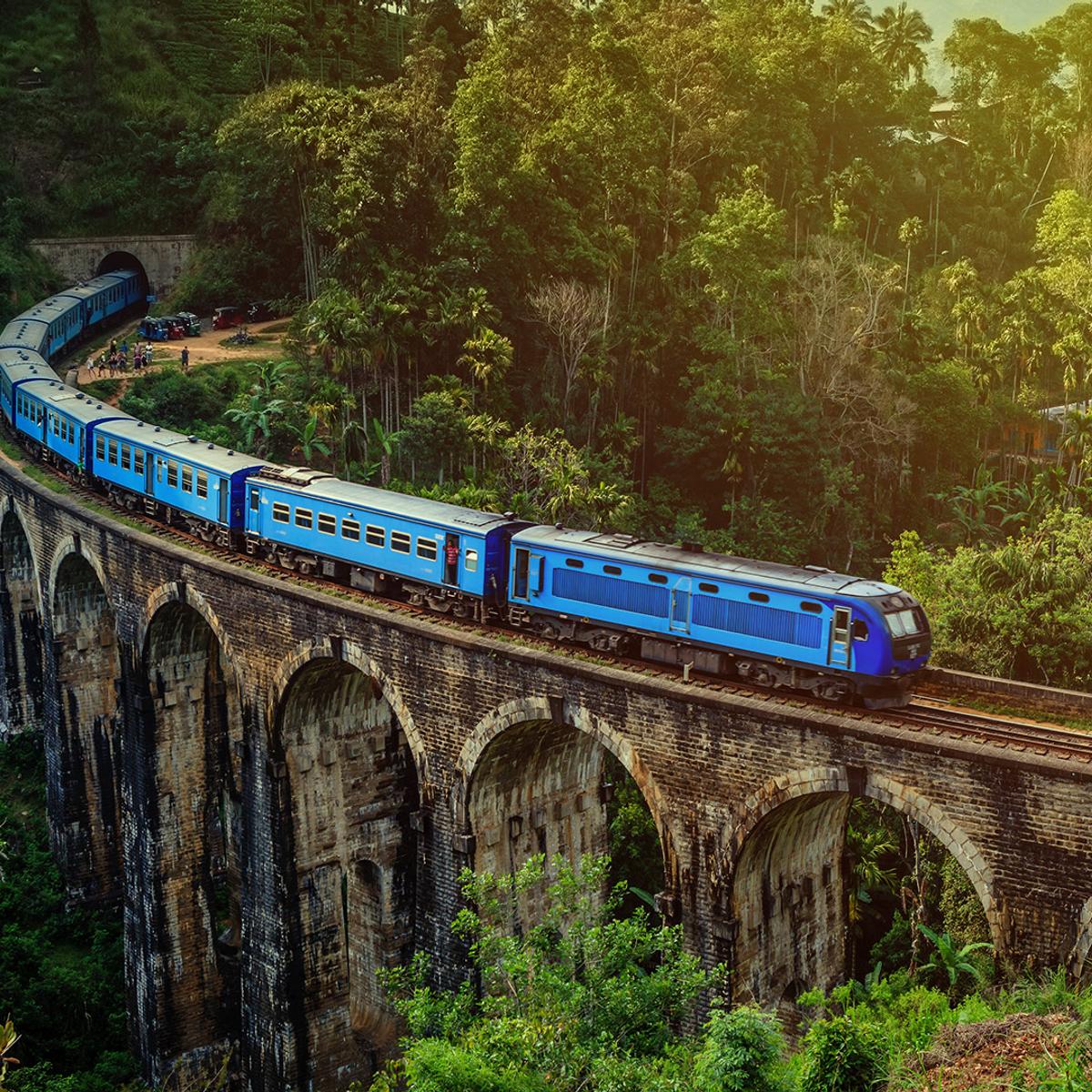 Deluxe 12-Day Best of Sri Lanka 2026 with Dambulla, Kandy & Five-Star Galle Stay by  1