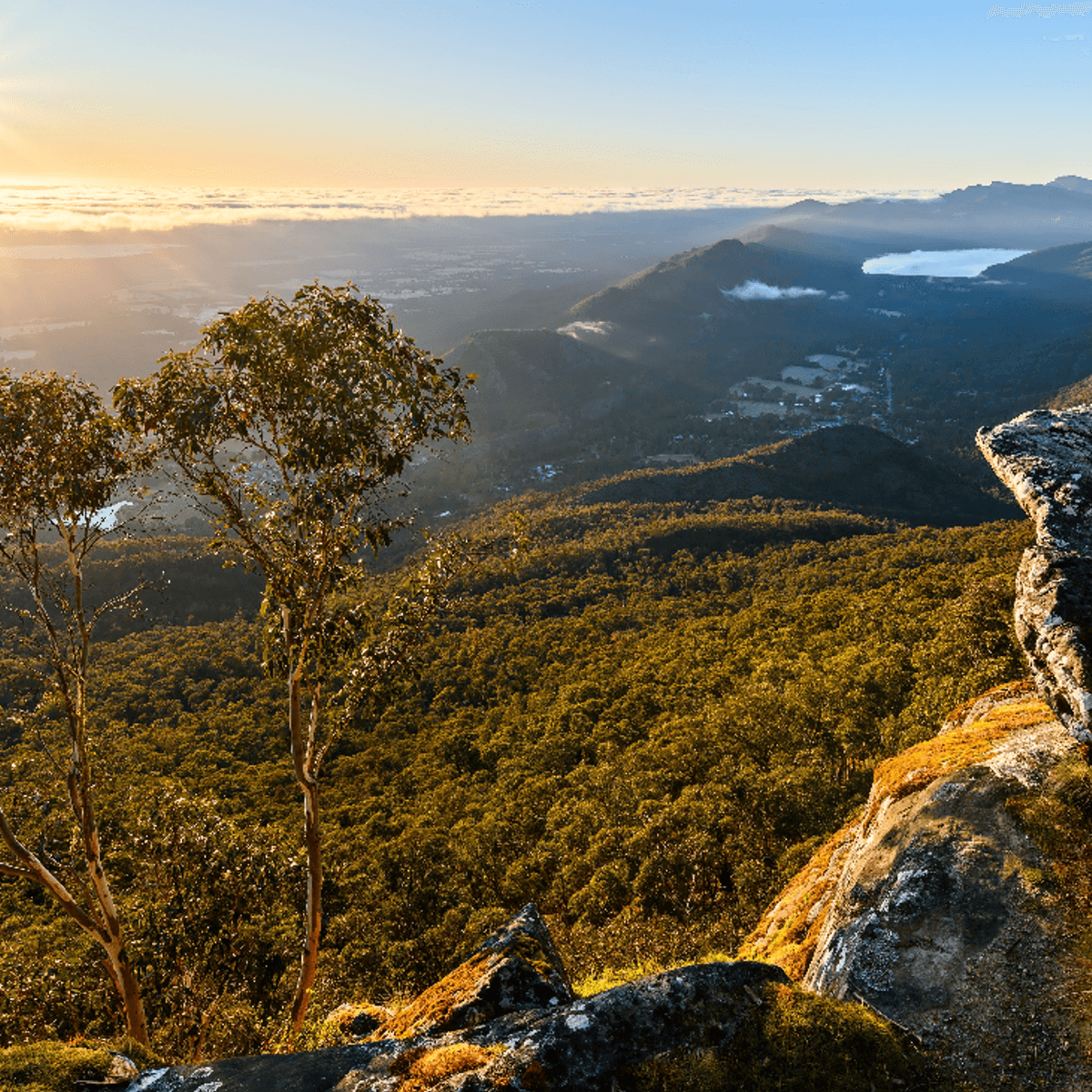 Limited Time Offer: 3-Day Great Southern Rail Journey from Adelaide to Brisbane with BONUS Cabin Upgrade + Penfolds Magill Estate Tour by  6