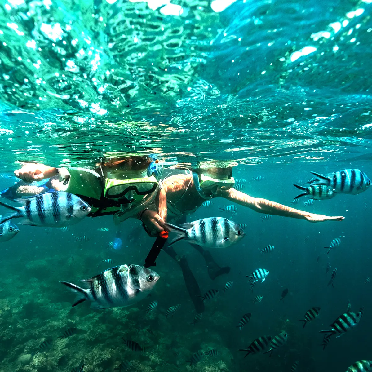 InterContinental Fiji Golf Resort & Spa, an IHG Hotel, Natadola Beach, Fiji 8