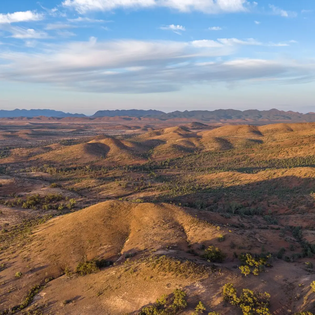 Arkaba Homestead, Flinders Ranges, Südaustralien 8