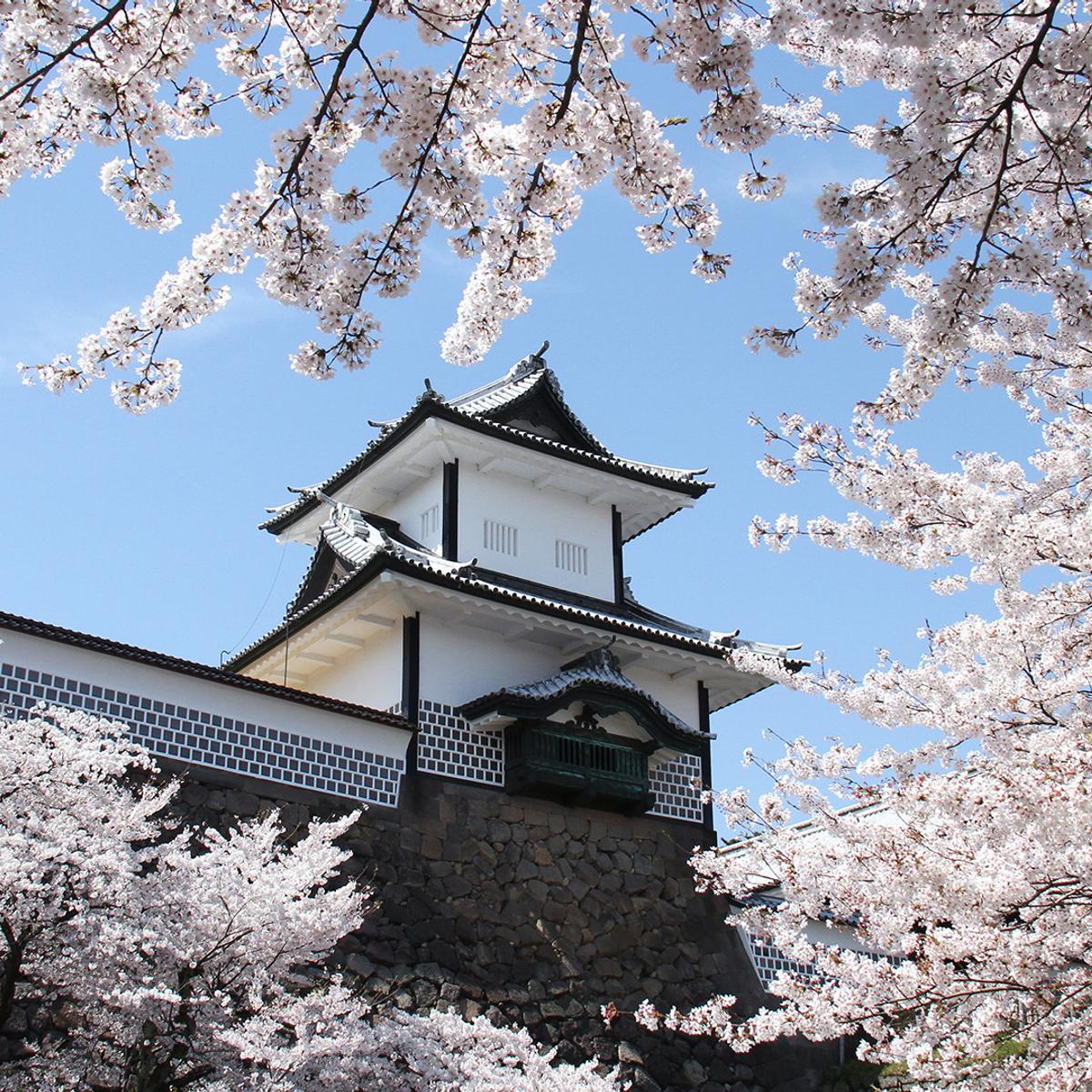 Deluxe 15-Day Best of Japan 2026 with Tokyo, Hiroshima & Osaka  by  8