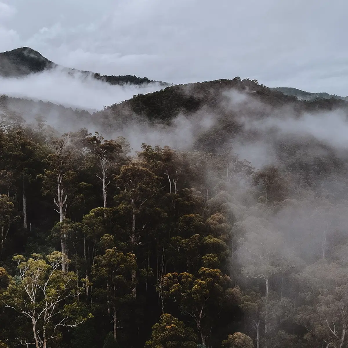 Discovery Resorts – Cradle Mountain, Cradle Mountain, Tasmania 5
