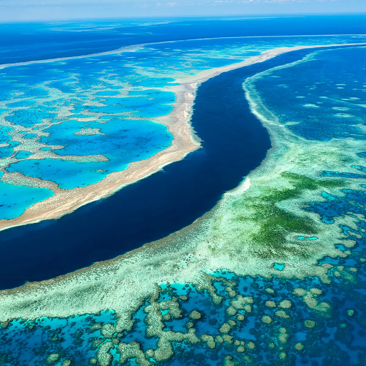 Shangri-La The Marina, Cairns, Cairns, Queensland 5