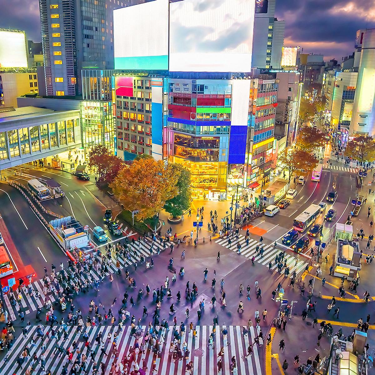 Limited Time Offer: Deluxe 7-Day Japan Highlights 2026 with Tokyo, Kyoto & Osaka (No Solo Traveller Surcharge) by  6