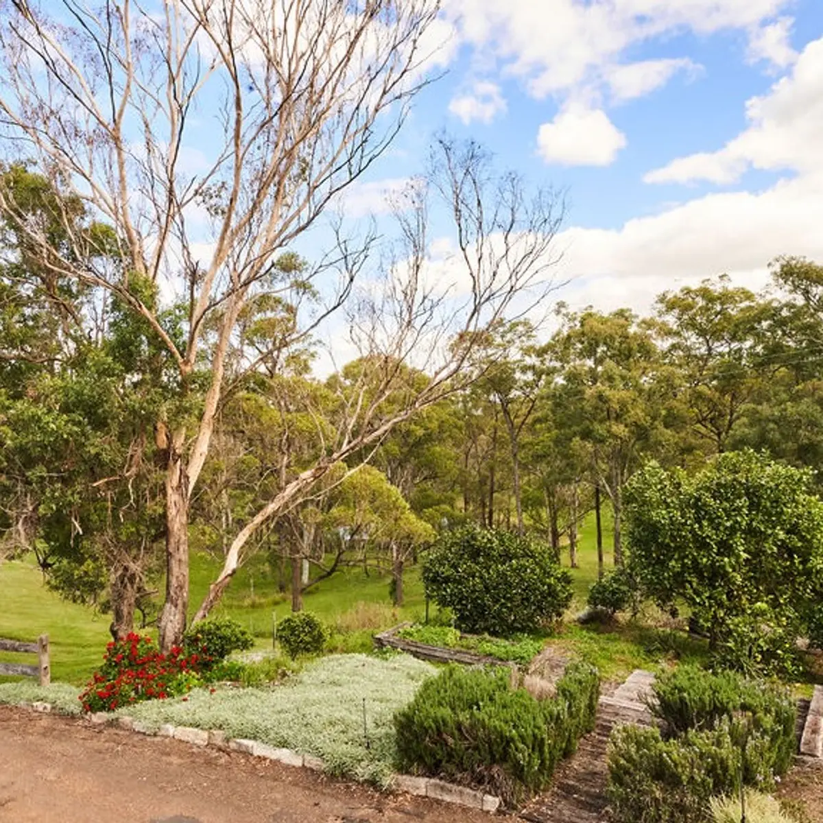 Wandin Valley Estate, Hunter Valley, New South Wales 8