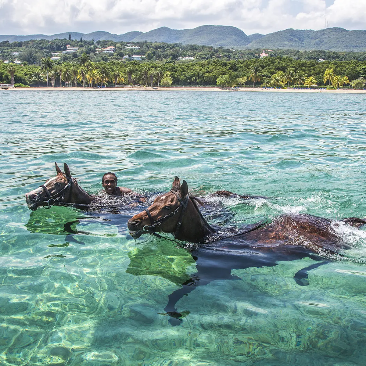 Half Moon, Montego Bay, Jamaica 6