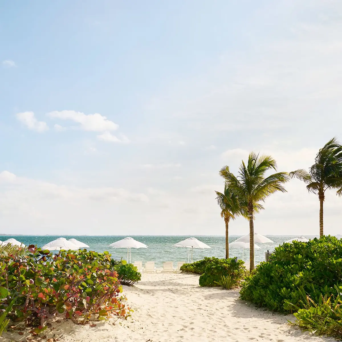 SLS Playa Mujeres, Cancun, Mexico 2