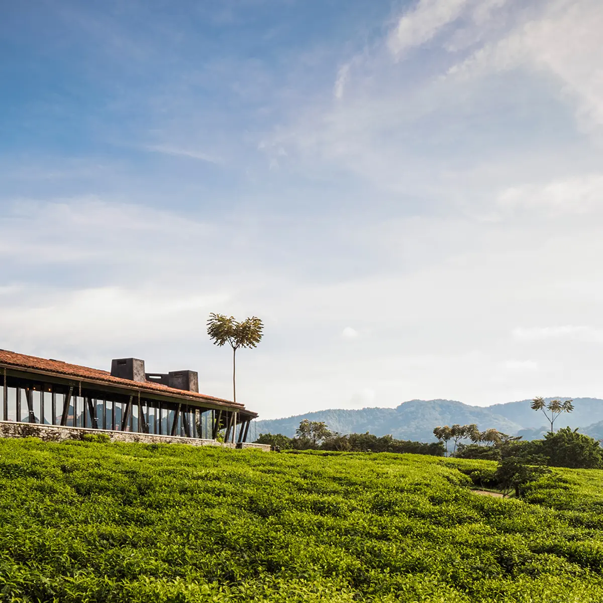 One&Only Nyungwe House, Nyamasheke, Rwanda 2