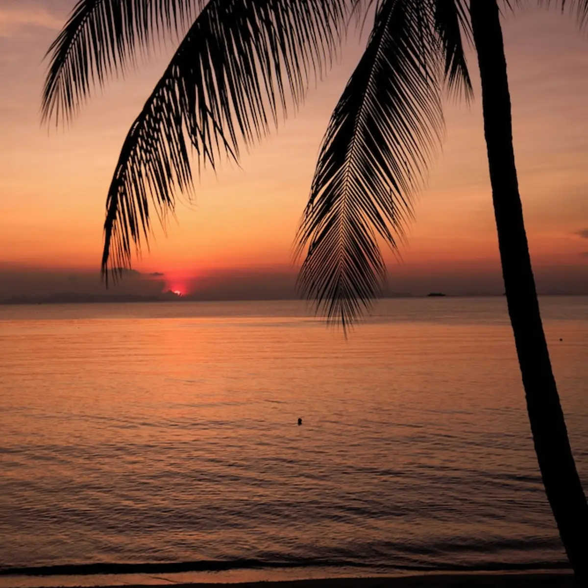 Nikki Beach Resort & Spa, Koh Samui, Thailand 8