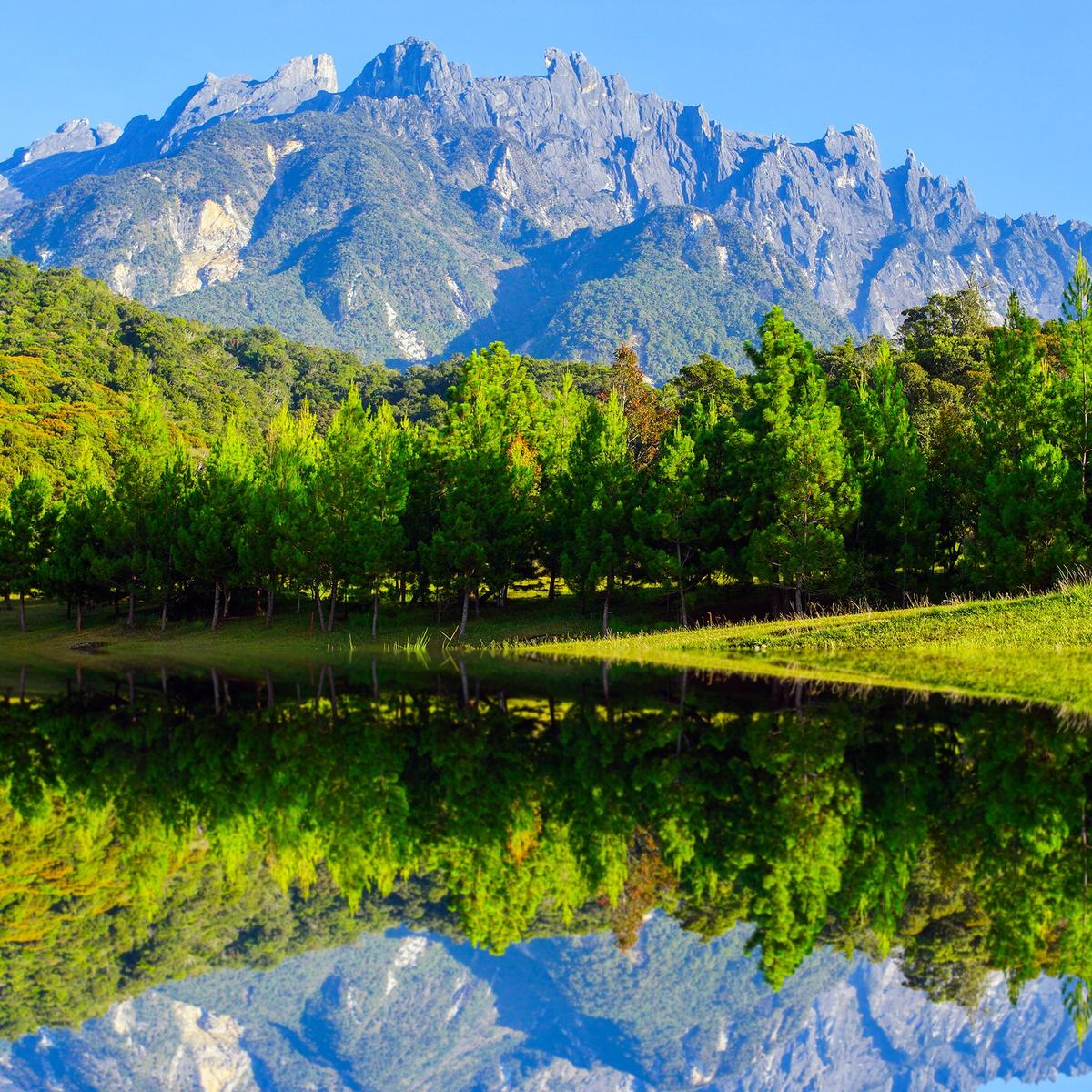 Limited Time Offer: Deluxe 9-Day Borneo Wildlife Tour with 3-Night EQ Kuala Lumpur Stay by  4