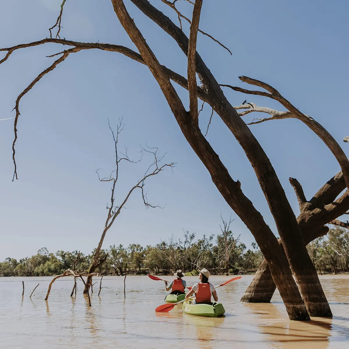 Club Boutique Hotel Cunnamulla, Cunnamulla, Queensland 6