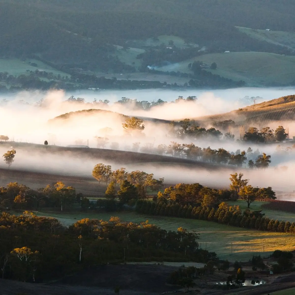 Yarra Valley Lodge, Yarra Valley, Victoria 4