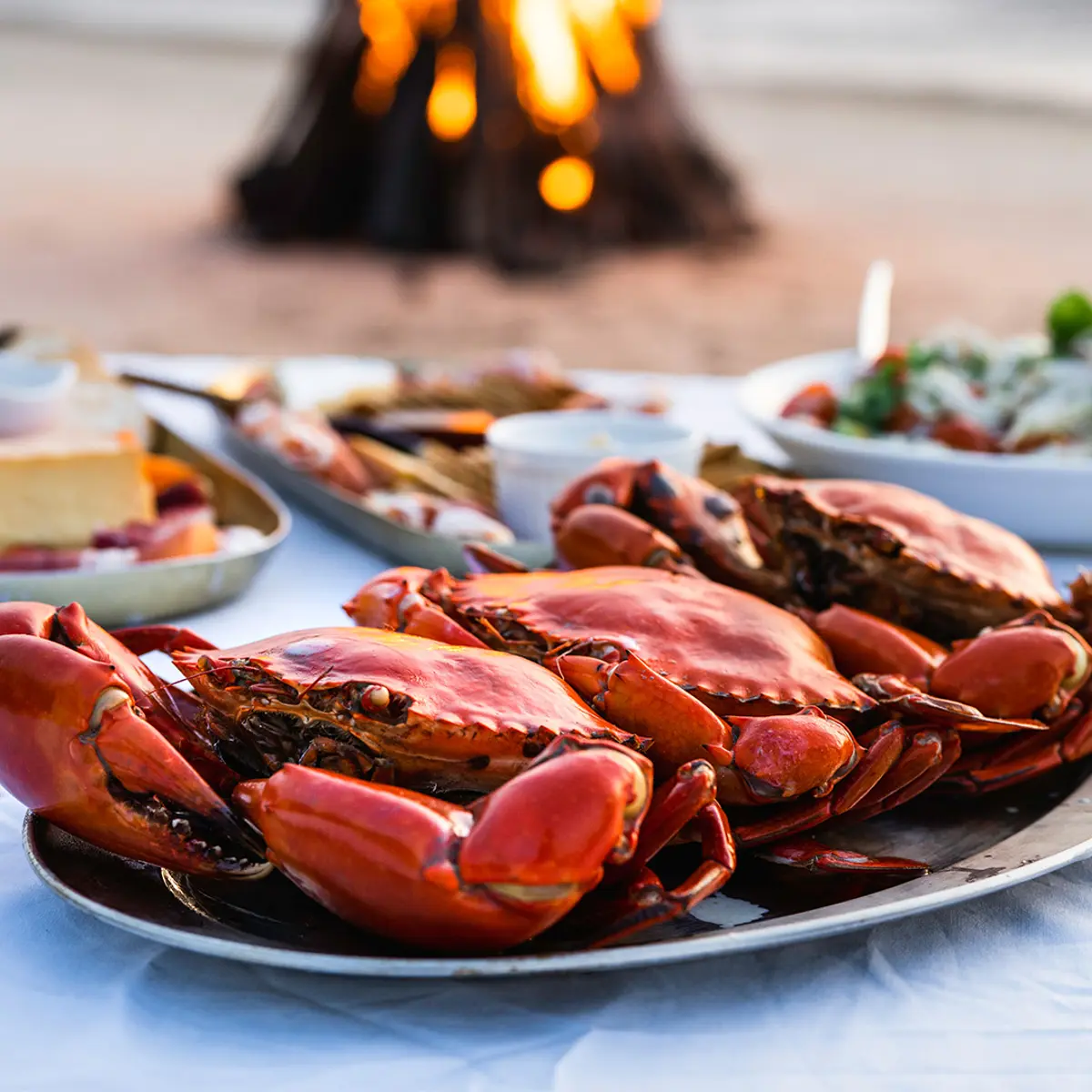 Tiwi Island Retreat, Tiwi Islands, Northern Territory 4