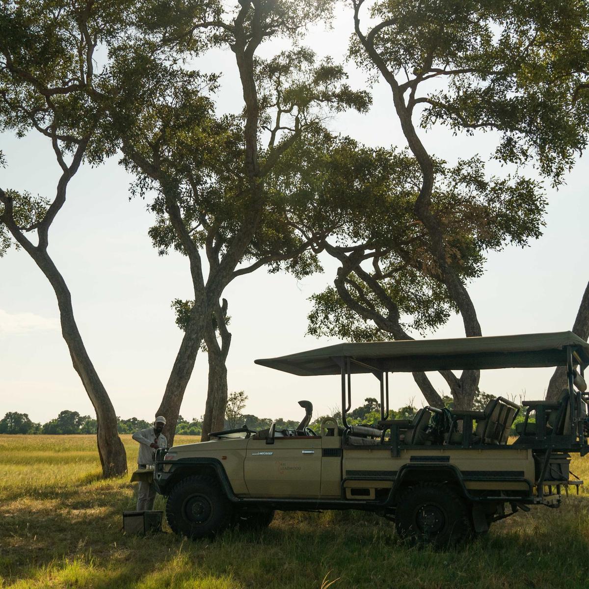 Offre à durée limitée : safari aérien de 10 jours au Botswana dans les camps African Bush Camps Ultra Lux, avec Linyanti, Khwai et le delta de l’Okavango par  6