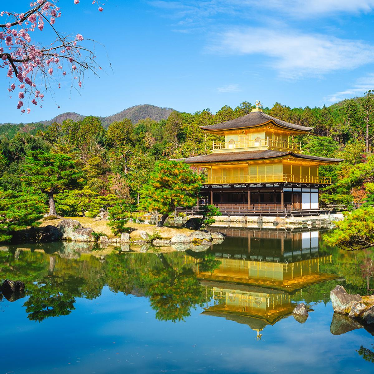 Deluxe 7-Day Japan Highlights 2026 with Tokyo, Kyoto & Osaka by  8