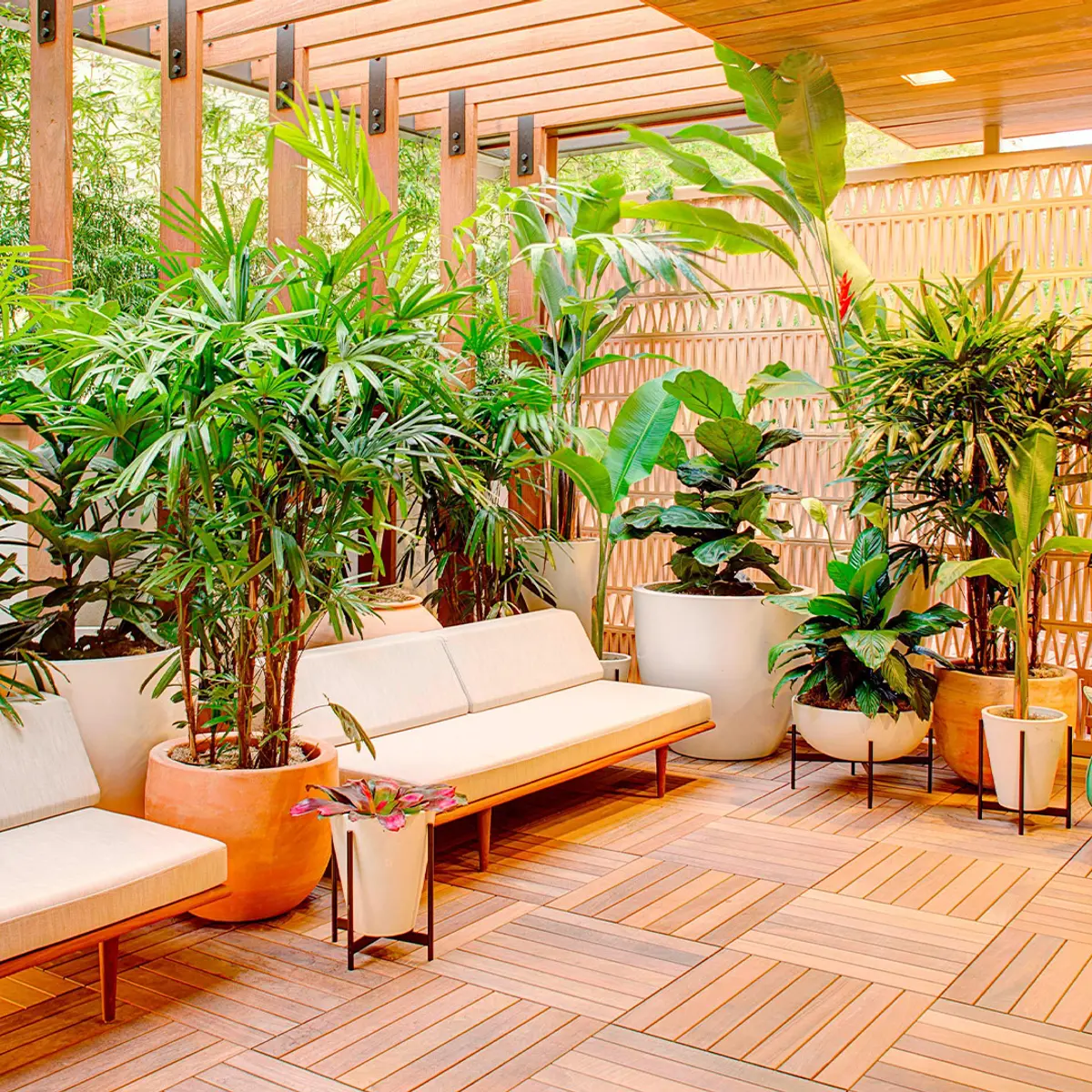 The Laylow, Autograph Collection, Waikiki, USA 6