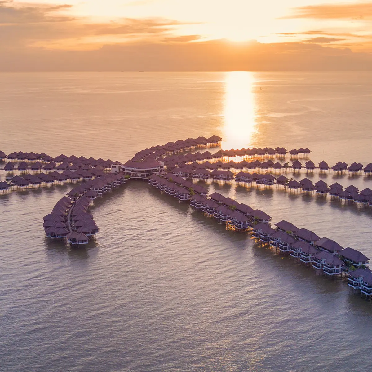 Golden Palm Tree Malaysia, Sepang, Malaysia 1